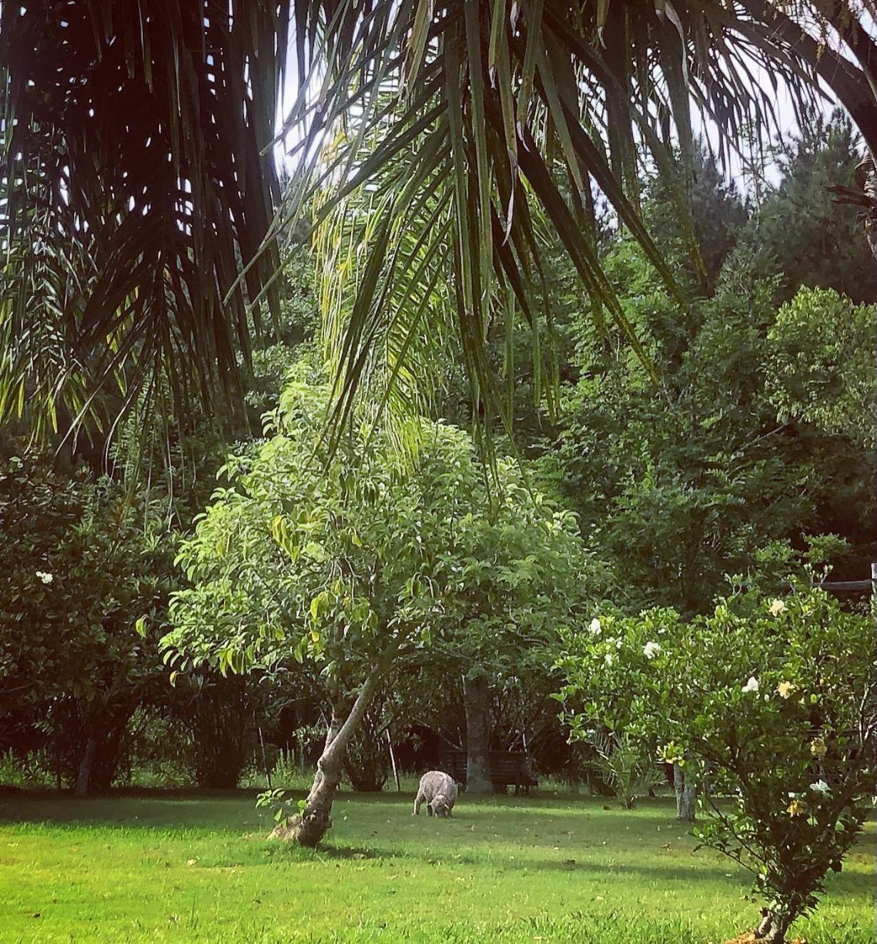 Pinos De La Quebrada Villa Quebrada de los Cuervos Exterior photo
