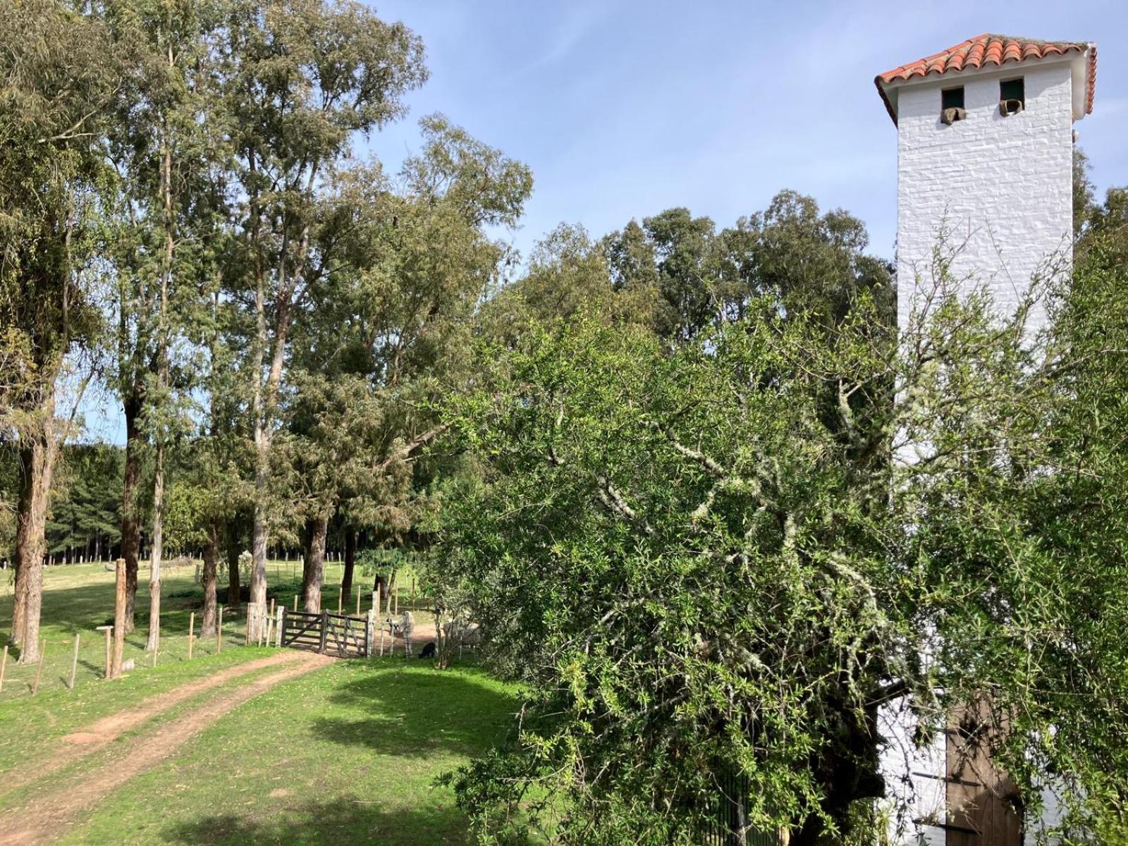 Pinos De La Quebrada Villa Quebrada de los Cuervos Exterior photo